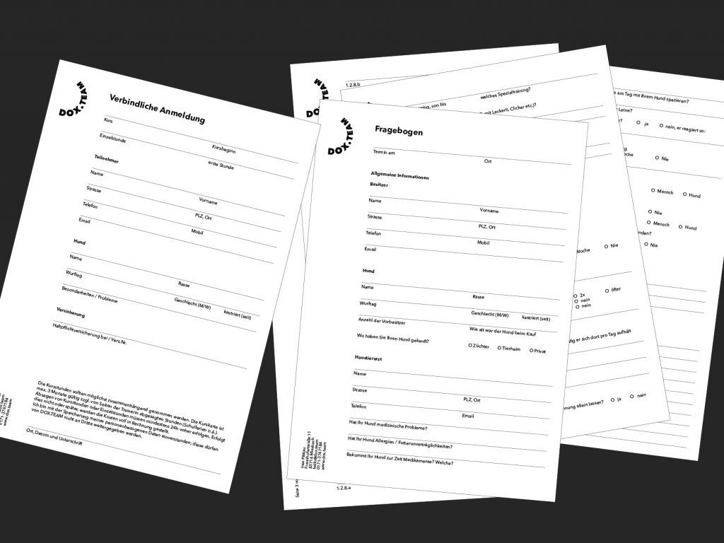 mehrere Formulare mit dem Logo von dox.team zur Anmeldung und dem Fragebogen, schwarz-weiß mit Linien zur besseren Strukturierung